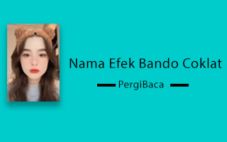 Nama efek IG bando beruang