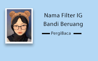 filter bando beruang